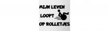 afbeelding met een rolstoel en de tekst: mijn leven loopt op rolletjes